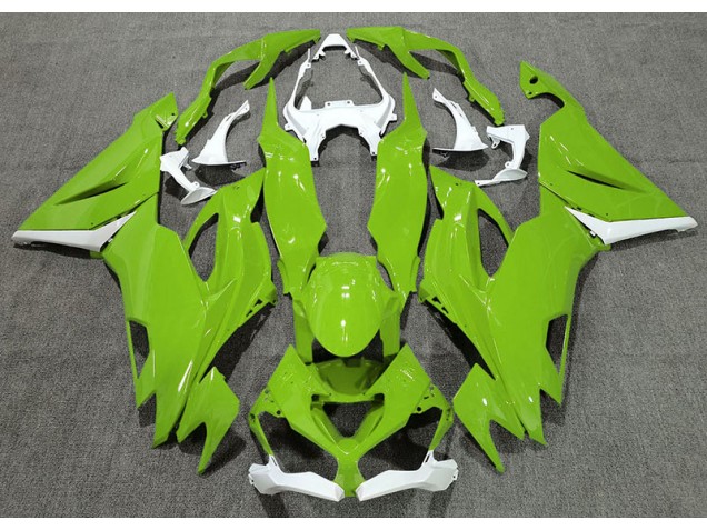 Glänzend Grün & Weiß 19-23 ZX6R Motorrad Verkleidung Glänzend Grün & Weiß 19-23 ZX6R Motorrad Verkleidung