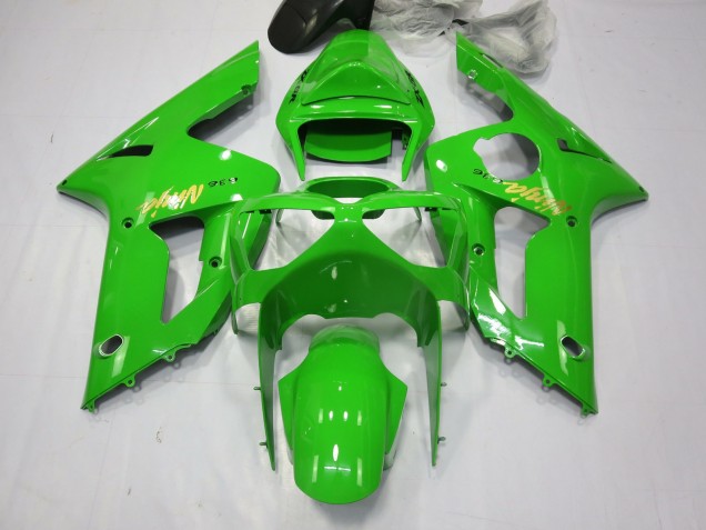 Grüner Ninja 03-04 ZX6R Motorrad Verkleidung