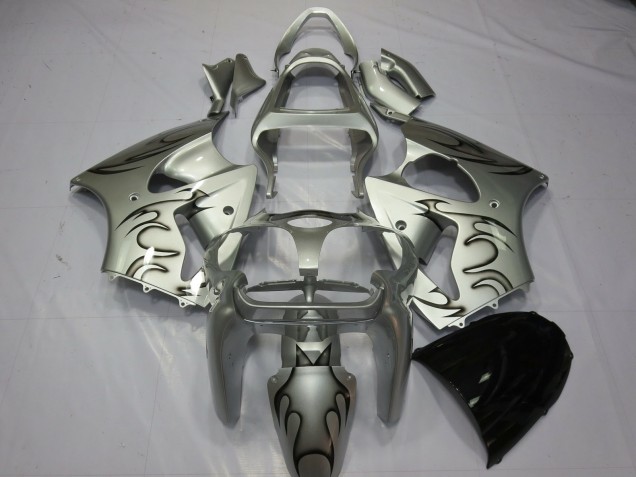 Silber Flamme 00-02 ZX6R Motorrad Verkleidung